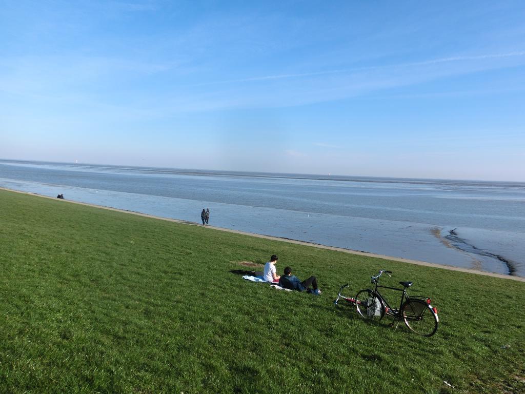 Sonnige Whv *
